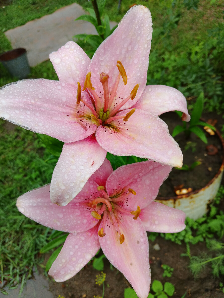 Такая в реальности