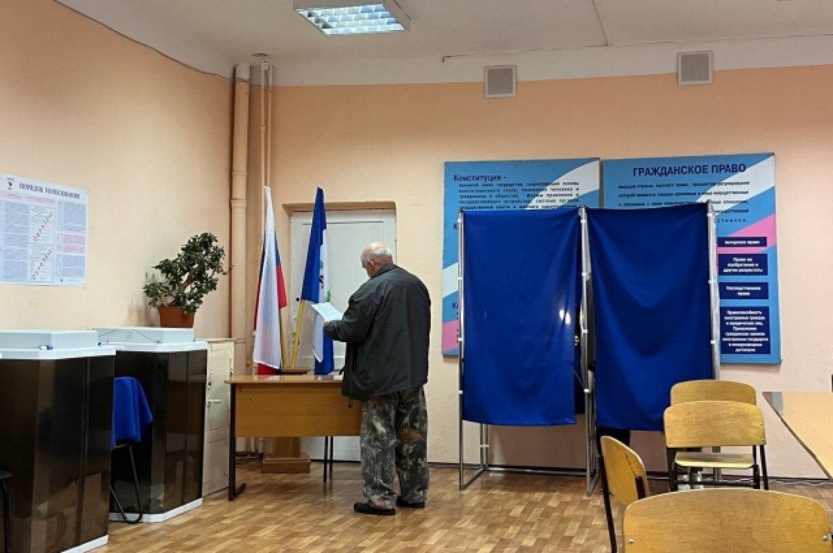    Явка на выборах в ЗС Иркутской области к полудню 10 сентября составила 17%