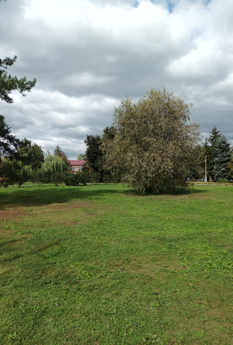 Фото автора 
