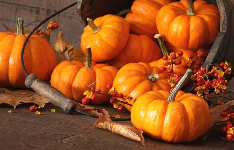 Кухонька. "Тыква на зиму": хранение, консервация.