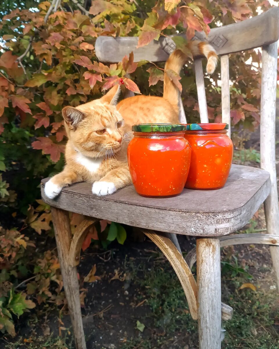 Фото из архива автора