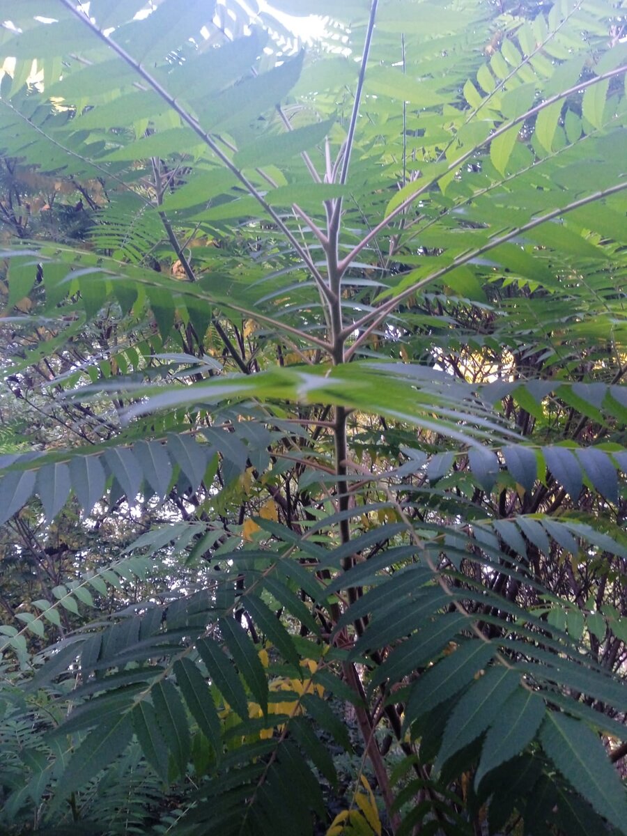 Фото 6