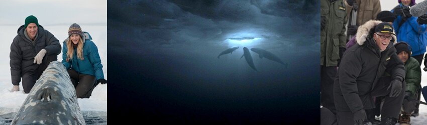 киты много. Big miracle фильм. кит на реальных событиях. эстетика фильма все любят китов. фильм про спасение китов на аляске 1988.