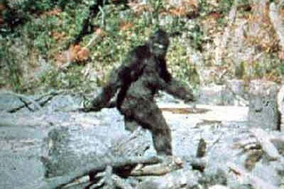 Йети мифология. Бушмен снежный человек. Криптозоология йети. Йети средней азии. Встреча со снежным человеком.