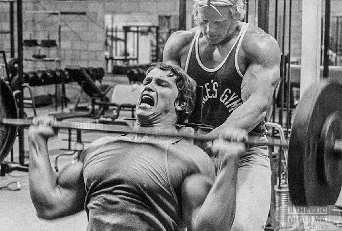 фотография взята из случайного источника