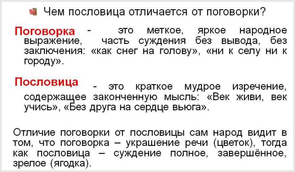 Ежу понятно. Откуда произошли выражения, которые мы используем каждый день? | Аргументы и Факты