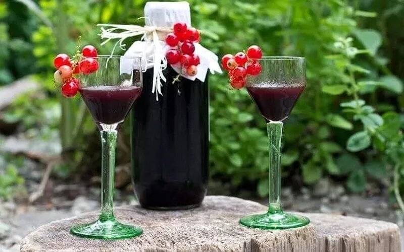 Спотыкач: готовим украинский алкогольный напиток дома