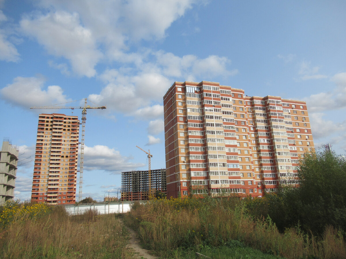 Верно ли официальная статистика отражает численность населения наших  городов, на примере Тулы | ПАНТОГРАФ | Дзен