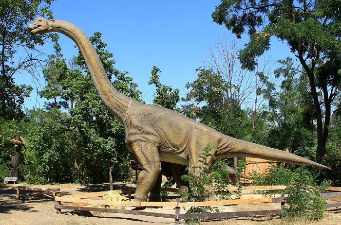 Источник sitekid.ru