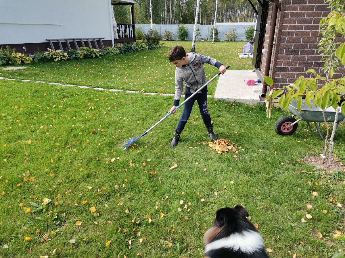 Сын в процессе "получения удовольствия", Альф смотрит и ждет когда это закончится и с ним начнут играть в мяч :)