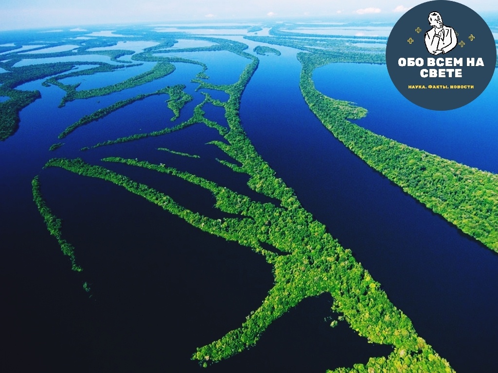 Река Амазонка