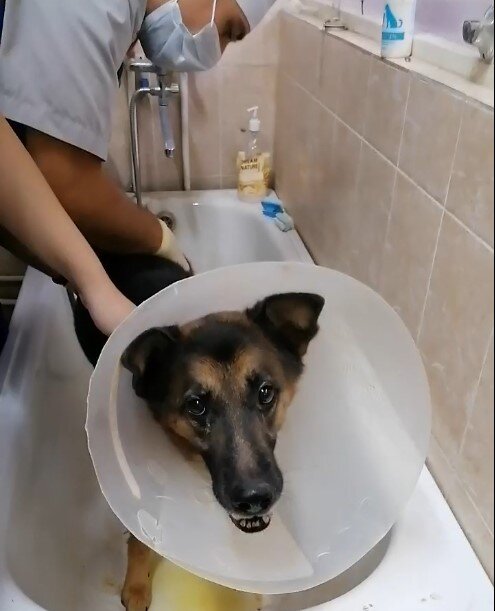 купаем Флеша