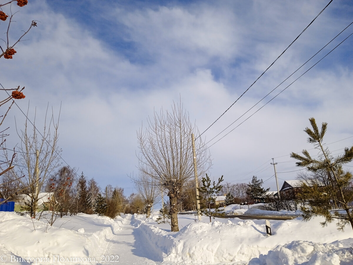 Январь 2022, день заметно прибавился, фото автора