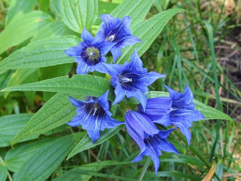  Фото с сайта: https://clck.ru/bQRmF.