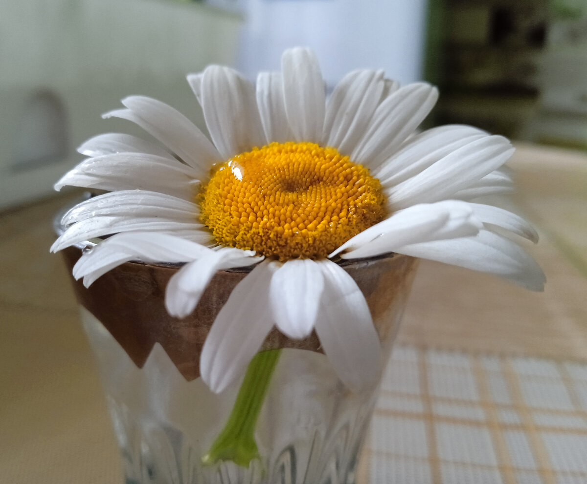 Подарок сына