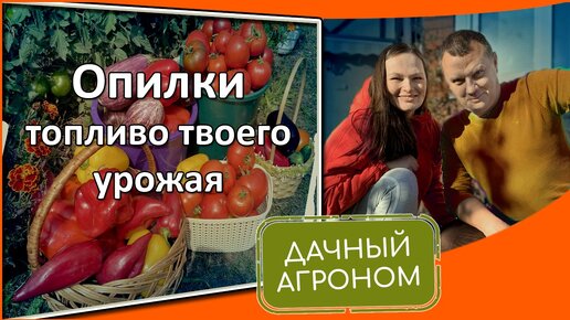 Не бойтесь удобрять опилками!