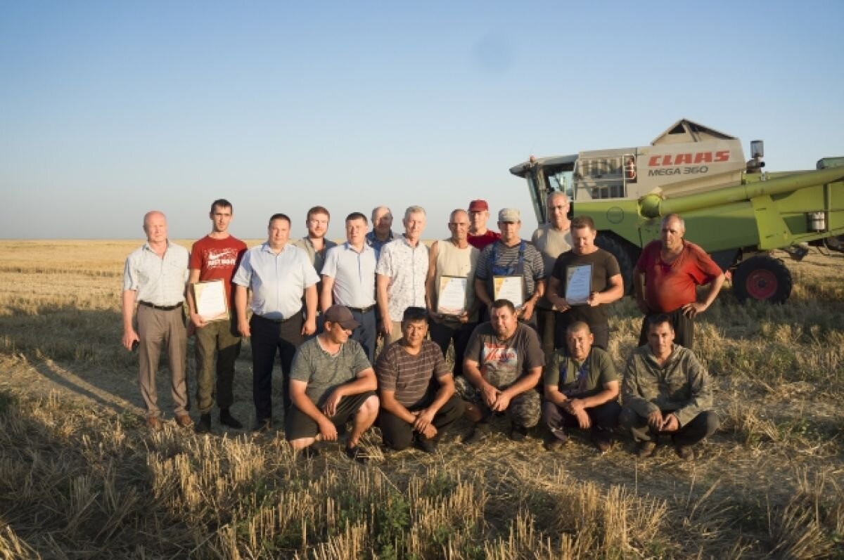 Фото: АиФ-Саратов/ Дмитрий Владимиров