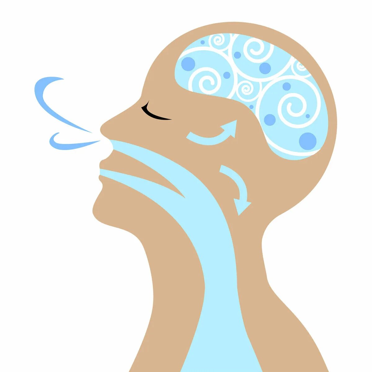 иллюстрация из свободного доступа 