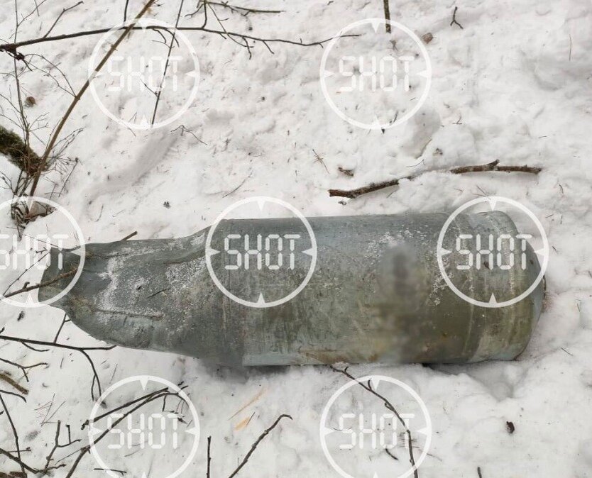    Фото: Telegram-канал Shot Анастасия Волова