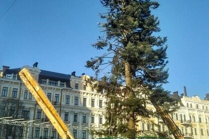 Фото со страницы Борислава Березы в Facebook