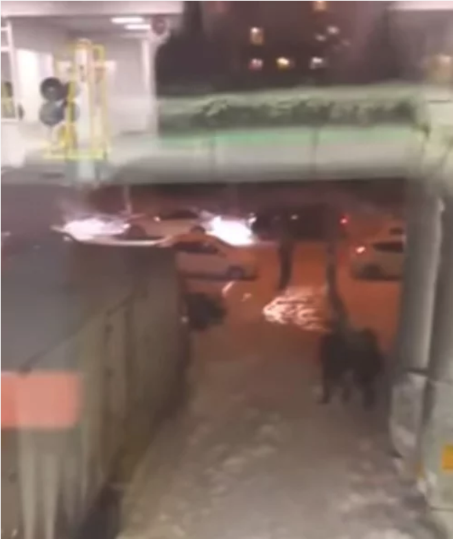 Скриншот с трансляции на Periscope