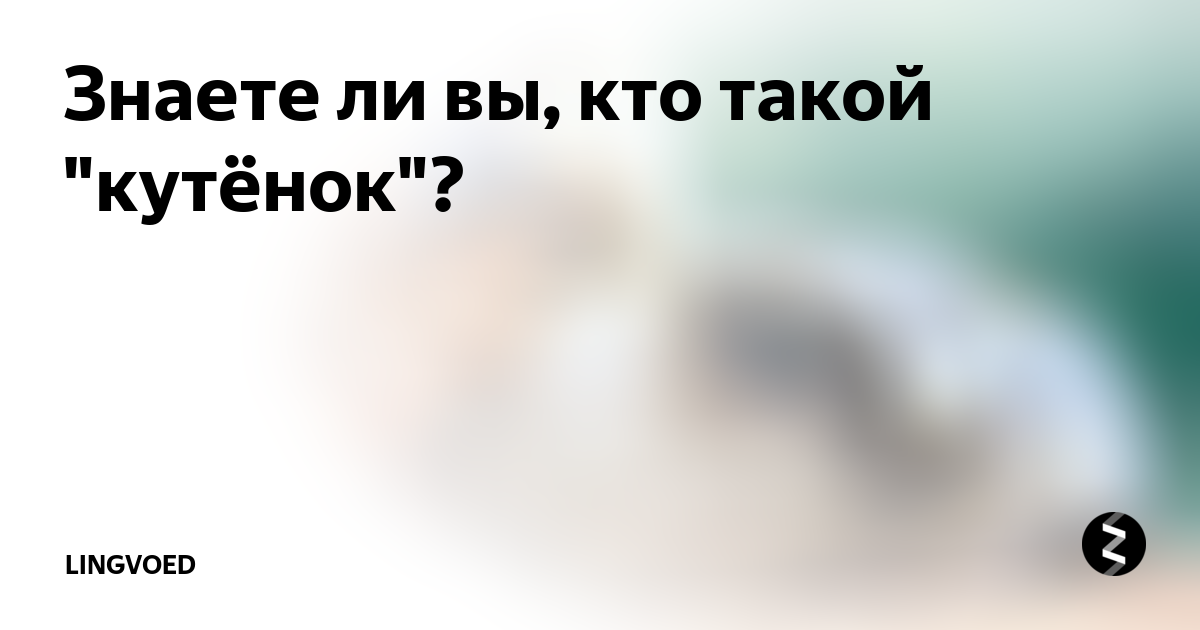 Знаете ли вы, кто такой "кутёнок"? | Лингвоед | Дзен