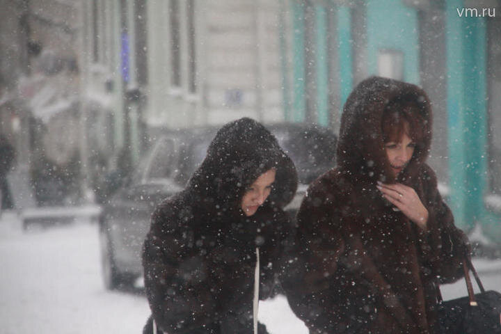 Фото: Павел Волков, "Вечерняя Москва"