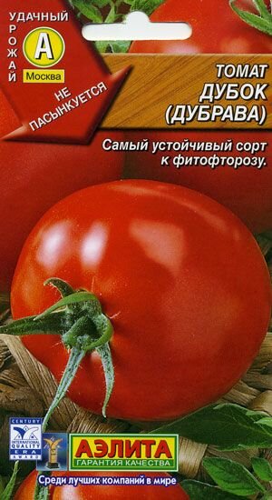 Томаты дубок отзывы описание сорта. Томат Дубрава Дубок. Дубрава помидоры семена. Помидоры сорт Дубок характеристики. Сорта томатов устойчивых к фитофторозу.