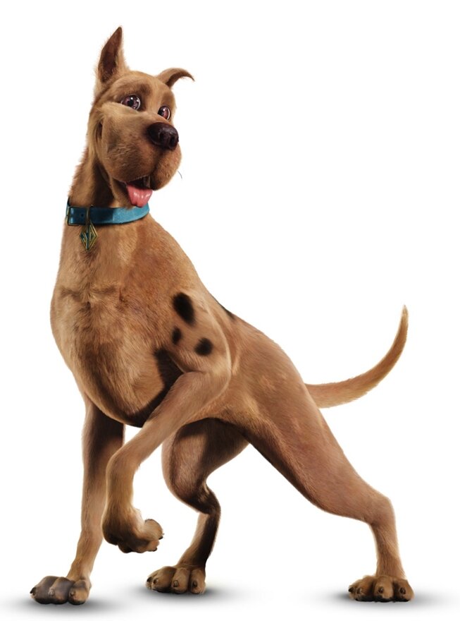 Ошейник скуби ду. Дог скуби ду. Порода скуби ду. Скуби ду собака. Скуби ду порода собаки.