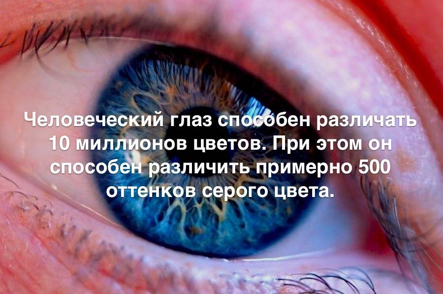 Не способный различать. Человеческий глаз способен различать. Человеческие глаза могут различить 10 миллионов цветов.