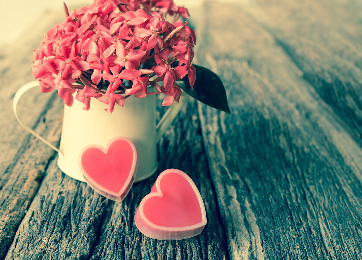 Источник фото: Shutterstock