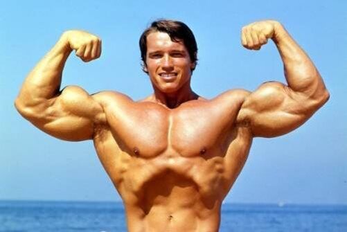 В отличие от многих мышц, требующих проработки под разными углами, бицепс расположен практически плоско, поэтому при выполнении упражнения нужно следить не за увеличением рабочего веса, а за правильной техникой. Многие упражнения, например, на верхнюю часть спины, включают в работу и бицепс. Рекомендуется либо объединять эти группы мышц, либо тренировать их с перерывом как минимум 48 часов, иначе быстро наступит перетренированность.

✅Лучшие упражнения на бицепс
Анатомическим упражнением на бицепс, наиболее близким к естественному движению сустава, является жим штанги на бицепс. Существуют следующие вариации упражнения: жим штанги прямым и обратным хватом, подъем гантелей, подъем на блоке.
Для того чтобы сделать бицепс визуально больше, рекомендуется проработка внутренней плечевой мышцы, которая будет «выталкивать» его вверх. Эта мышца включается в работу при повороте ладони с гантелей во время выполнения упражнения.

✅Техника безопасности при работе на бицепс
Не поднимайте вес прямыми запястьями, иначе вы можете повредить их. Прежде, чем взять штангу, немного наклоните запястья вниз – это значительно снизит нагрузку и сделает выполнение упражнения менее опасным.
При выполнении всех упражнений используйте вес, позволяющий сосредоточиться на работе мышц бицепса, и сделать движение максимально верным. Не гонитесь за большими весами, ведь неправильная техника приводит к болезненным травмам.

✅Тренировки на бицепс для новичков
При выполнении упражнений помните, что бицепс довольно легко перекачать. Старайтесь акцентироваться не на весе и количестве повторений, а на правильной технике. Тренируйте бицепс раз в неделю, выбрав 3-4 упражнения.
Каждое упражнение на бицепс выполняйте в 3 подхода по 7-10 медленных повторений. Кроме того, не забывайте, что если вы хотите быстро накачать мышцы, то начинать нужно с комплексной базовой программой мышц.