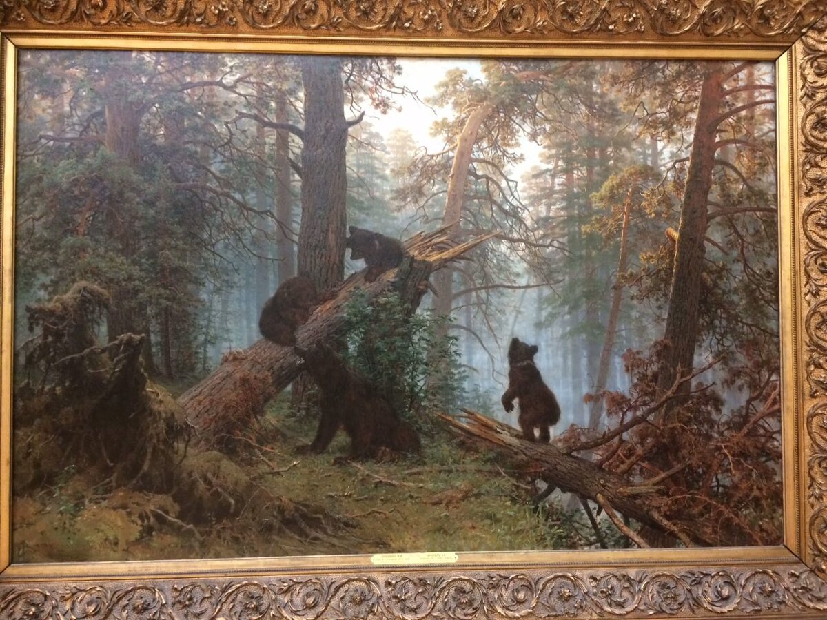 Лесные беспредельщики.