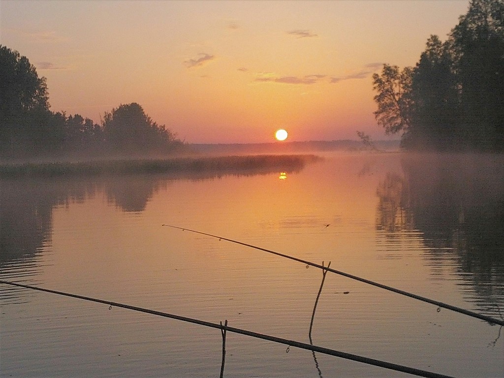 Фото: https://pu4kov47.livejournal.com