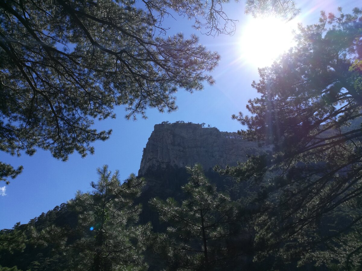 Вид в середине пути