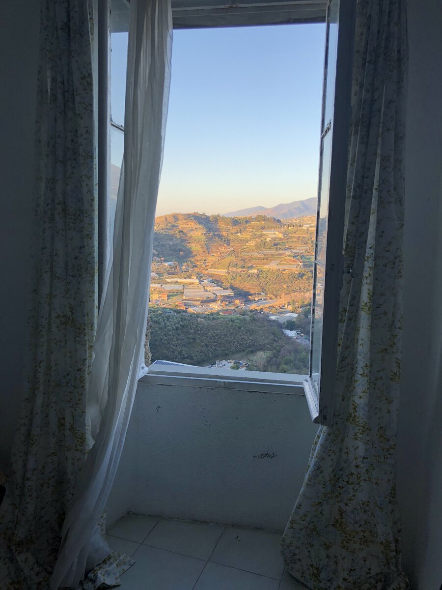 Вид из окна