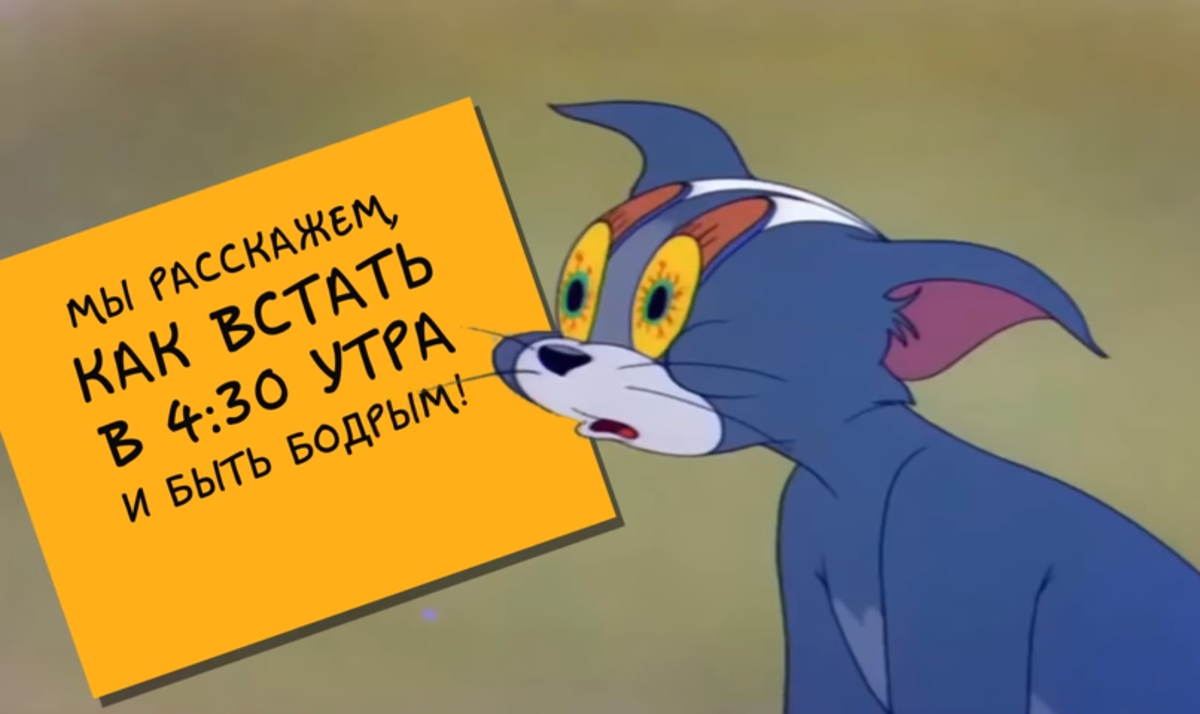 Сегодня речь пойдет о приемах благодаря которым вы будете высыпаться.