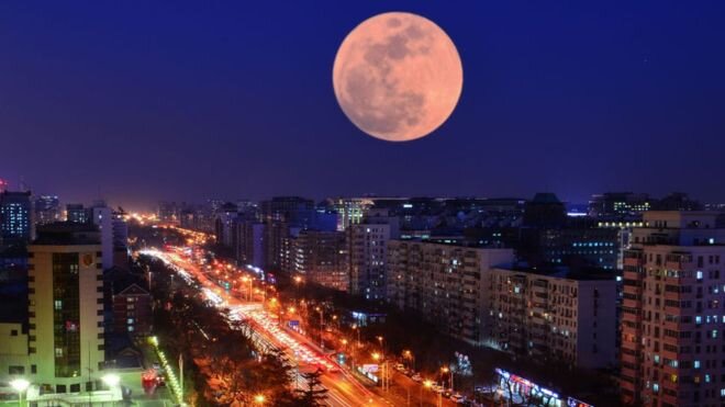 Фото: https://ichef.bbci.co.uk