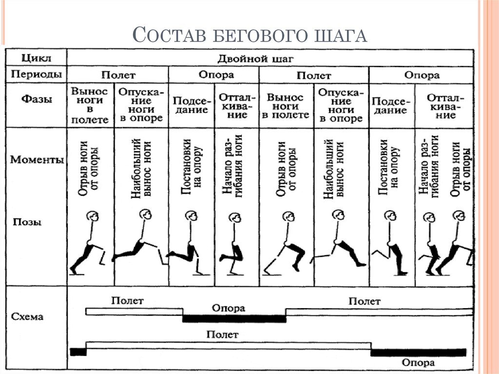 Шаг времени. Схема бегового цикла. Фазы бега схема. Цикл бега схема. Схема цикла двойного шага в беге.