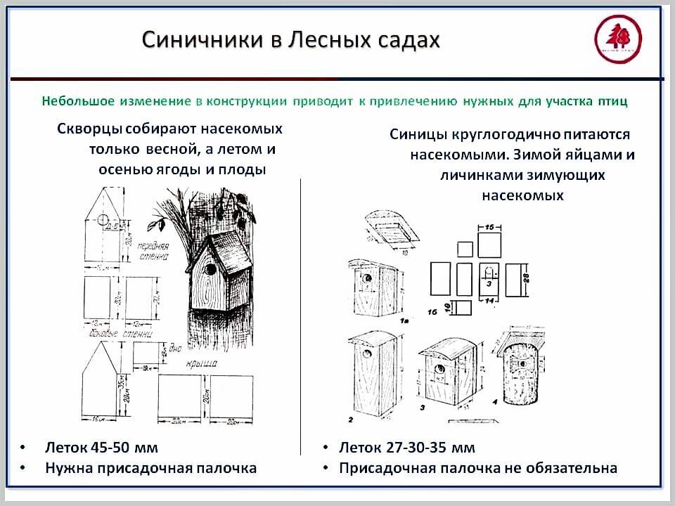 Как сделать синичник чертеж