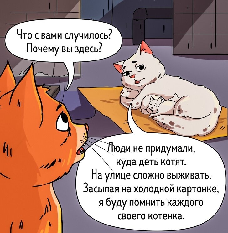 Источник: adme.ru