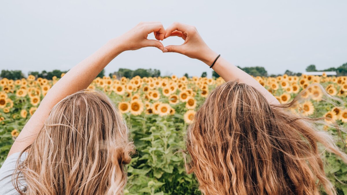 источник фото: unsplash.com