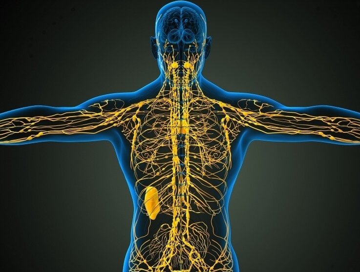 Что вы об этом думаете? Пишите комментарии! 