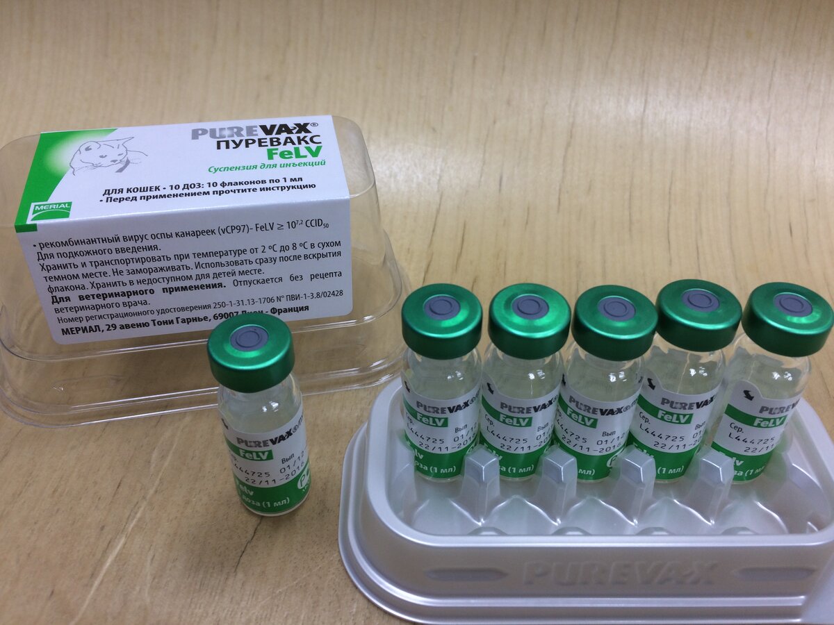Вакцина от лейкемии «Purevax FeLV»