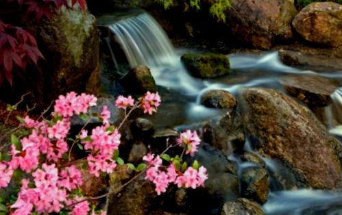 Ручей с водопадом