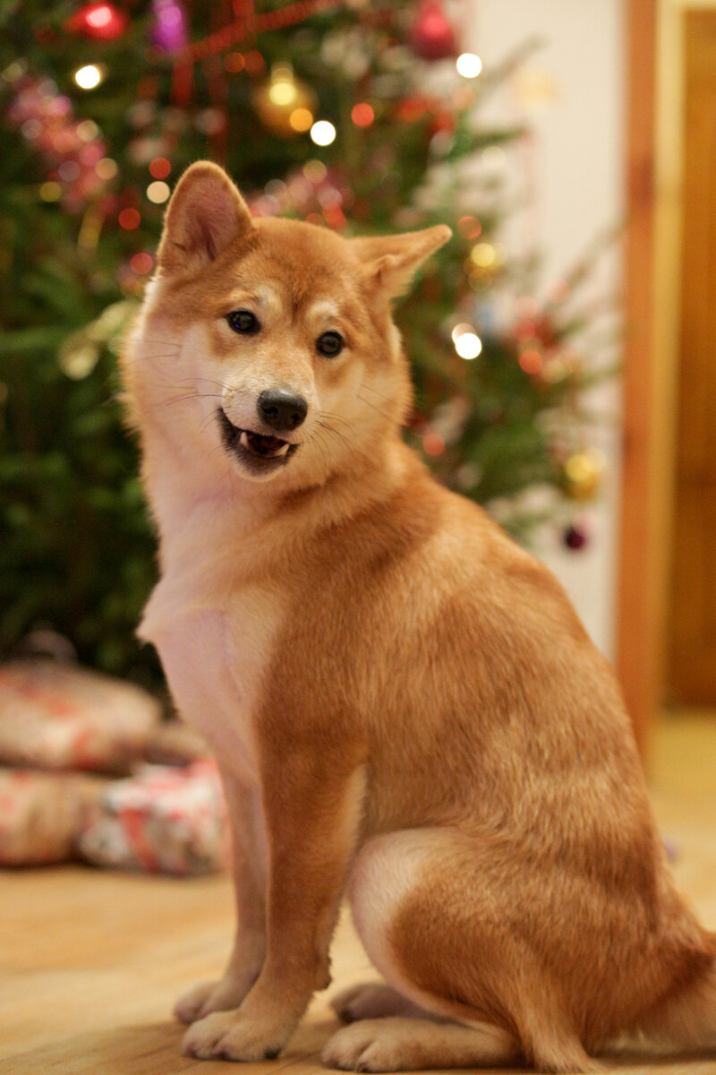 Кейко