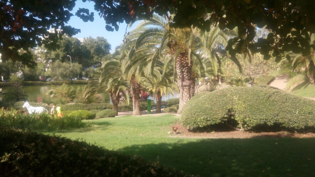 Озерцо с утками.