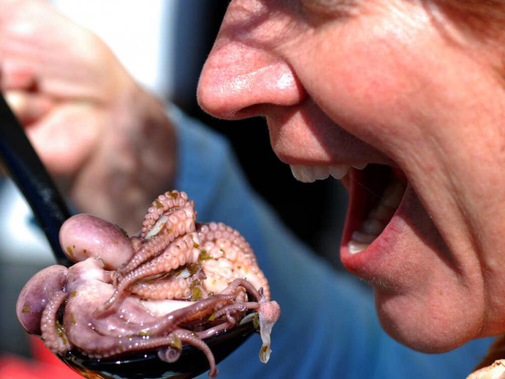 Специалисты постоянно говорят о том, что существует множество всевозможных продуктов, которые не пригодны в пищу. Их употребление может нанести вред здоровью человека. Однако, несмотря на предостережения, мы продолжаем их использовать в качестве еды. Если грамотно не подходить к этому вопросу, то можно не только причинить вред здоровью, но и даже умереть. 
