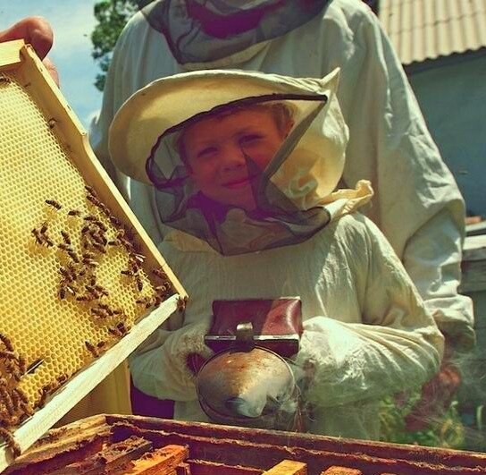 На пасеке у открытого улья с дым пушкой