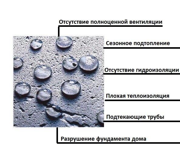 Почему сыреют стены в доме и как это исправить